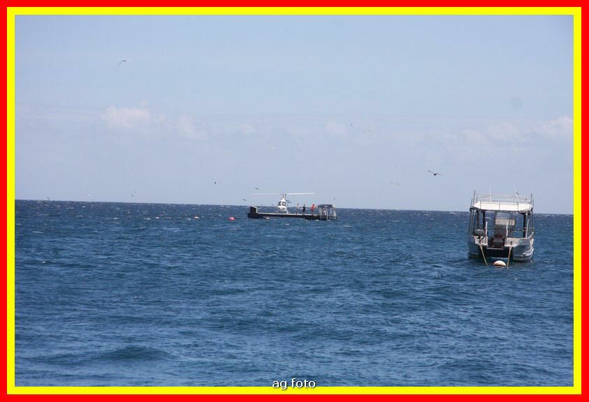 09_Australia 1075_tm.jpg